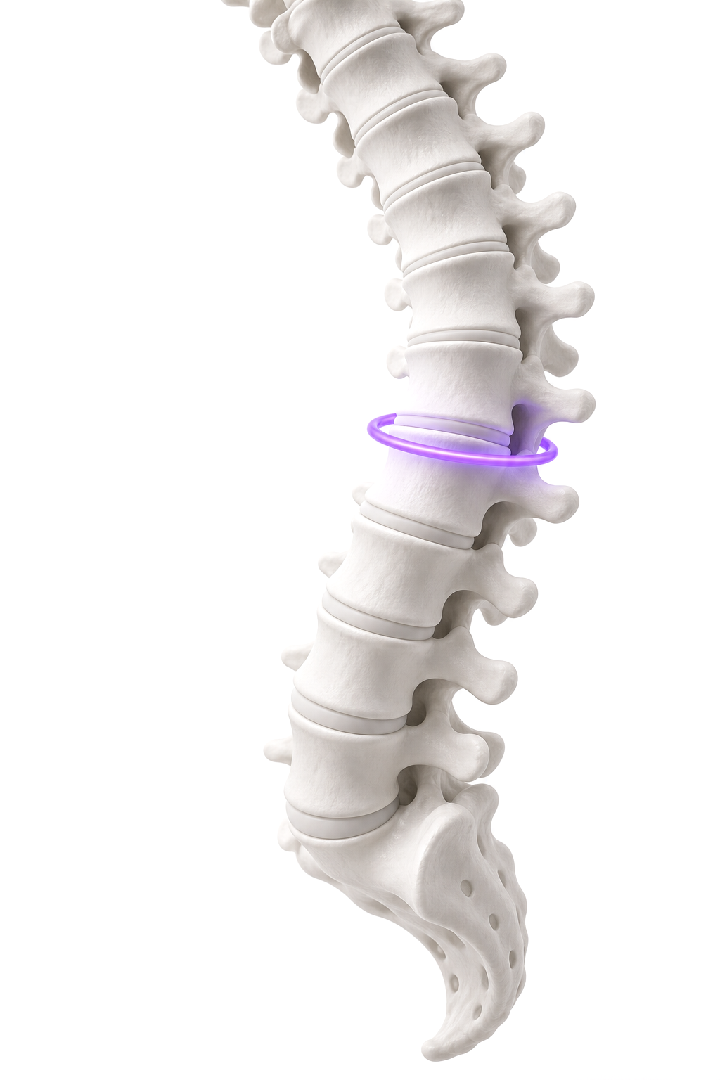 3D rendered human spine with an AI scan ring around one vertebra